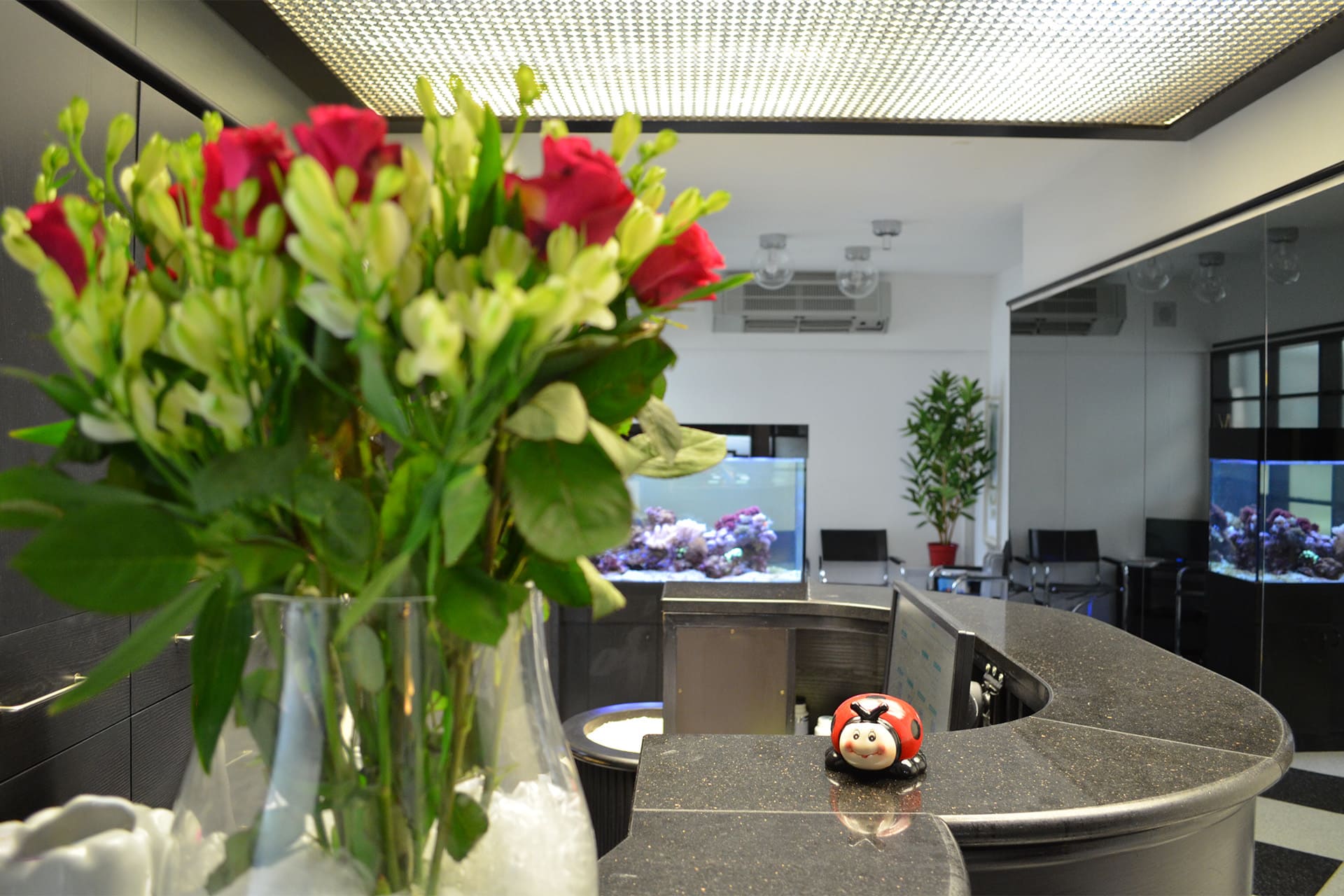 04_startseite_bg_praxis_Dr_Faraj_München